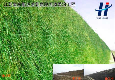 江蘇省京杭運(yùn)河蘇南段河道整治工程