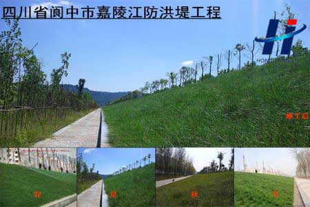 四川省閬中市嘉陵江防洪堤工程