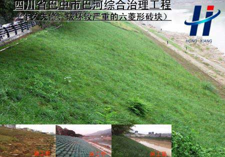 四川省巴中市巴河綜合治理工程 （原基礎(chǔ)為——年久失修、破壞較嚴(yán)重的六菱形磚塊）