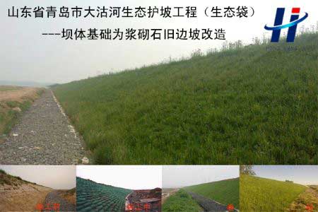 青島大沽河綜合治理工程（生態(tài)袋）（壩體基礎(chǔ)為漿砌石）