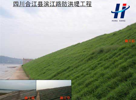 四川合江縣濱江路防洪堤工程