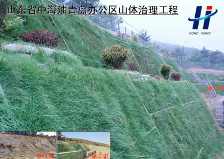 山東省中海油青島辦公區(qū)山體治理工程