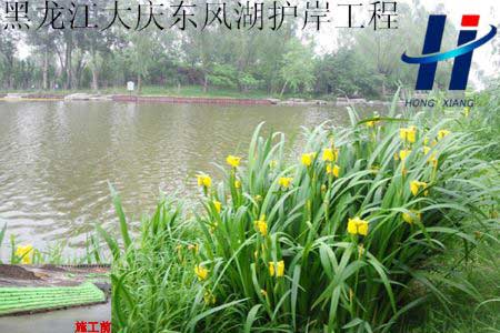 黑龍江大慶東風(fēng)湖護(hù)岸工程