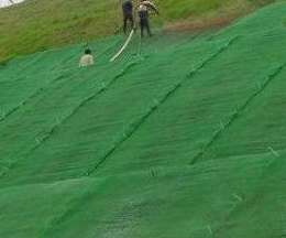 宏祥土工網墊護坡綠化