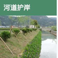 <b>綠化護坡用袋</b>