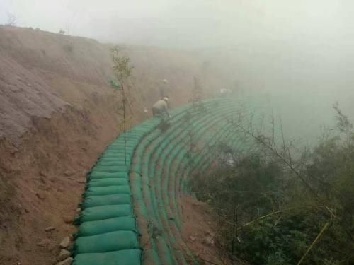 綠化生態(tài)袋