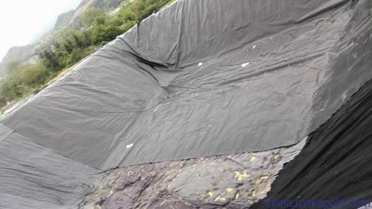 主要什么原因讓藕池土工膜破損?