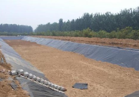 生態(tài)袋的作用是什么呢?