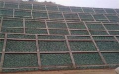 生態袋與石籠網在保護河道中哪個更好？