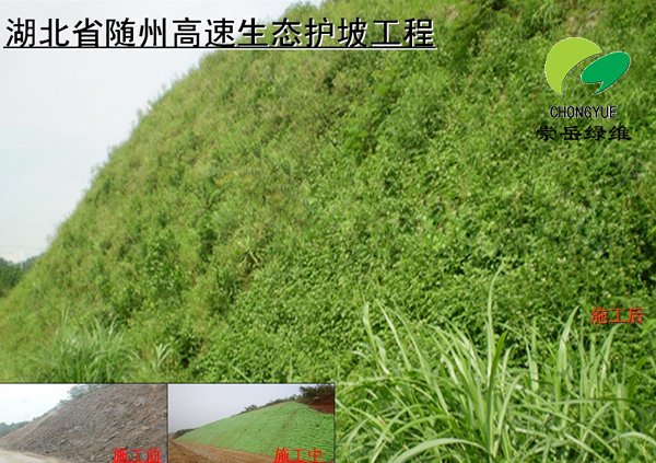 湖北省隨州高速生態護坡工程