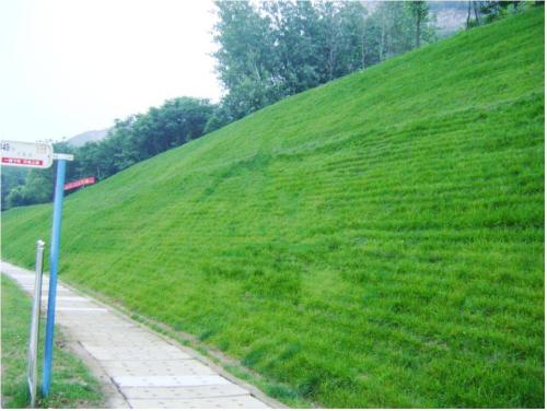 生態(tài)袋護(hù)坡工程案例