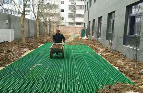停車場植草格