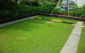 高強植草格