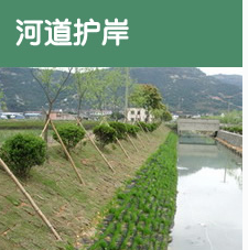 河道護岸護坡袋