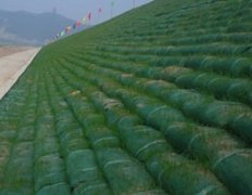 環保生態草毯邊坡綠化