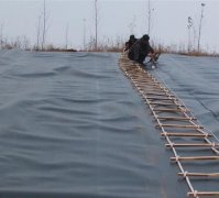 什么是HDPE彩色土工膜(黑綠土工膜、白色土工膜)?