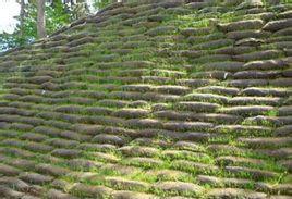 環(huán)保草毯