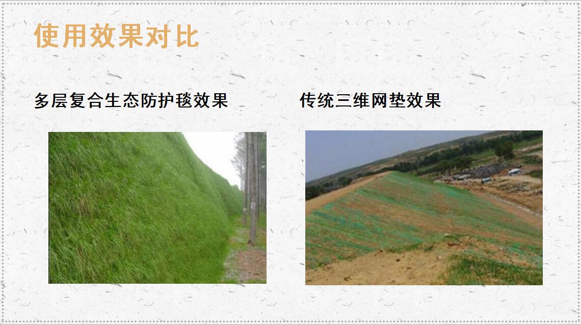 多層生態(tài)防護(hù)毯效果對比